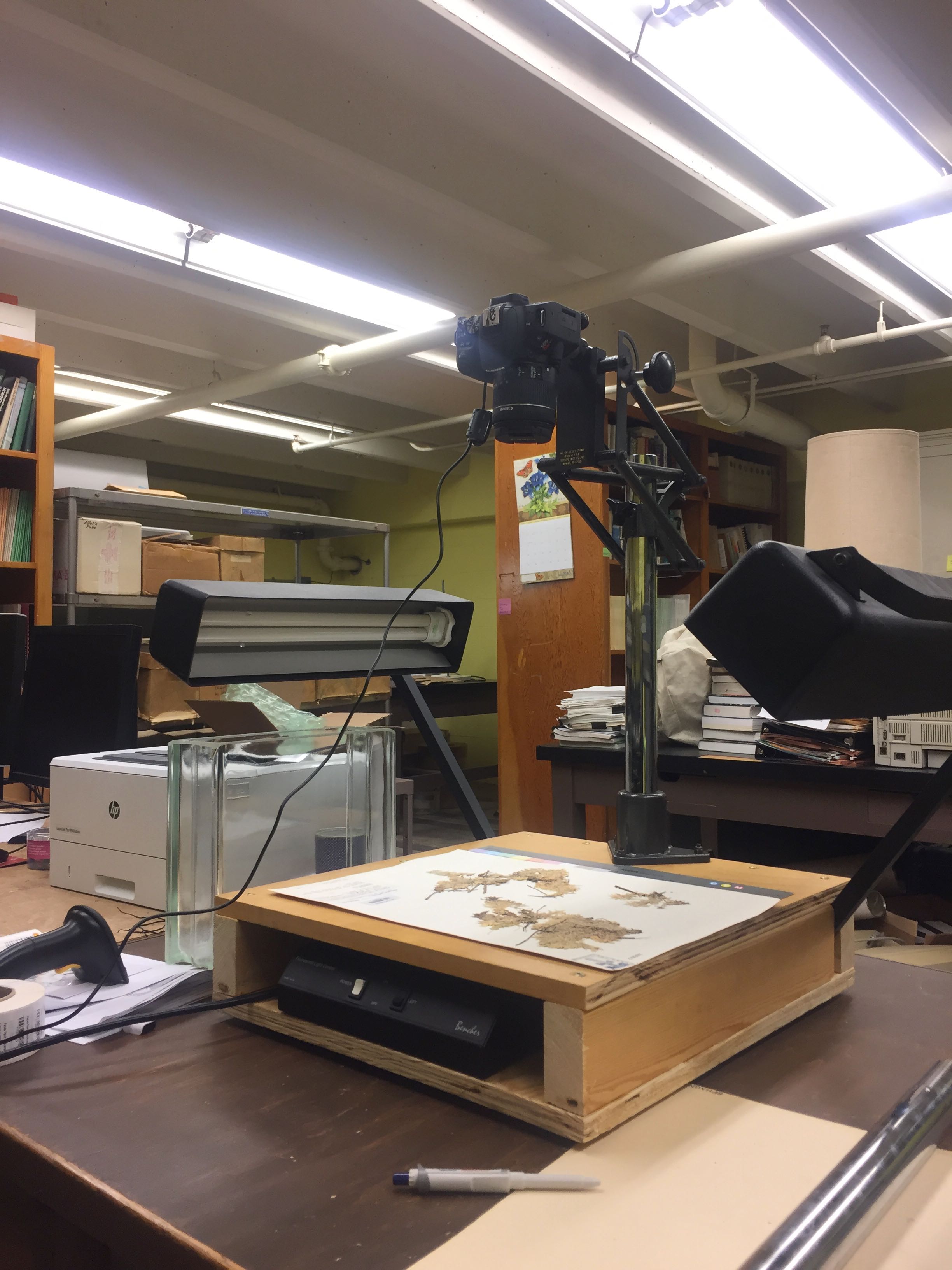 Reed Herbarium Imaging